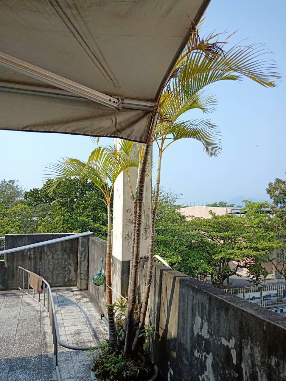 Formosa Backpackers Hostel & Apartment（青年民宿） Città di Hualien Esterno foto
