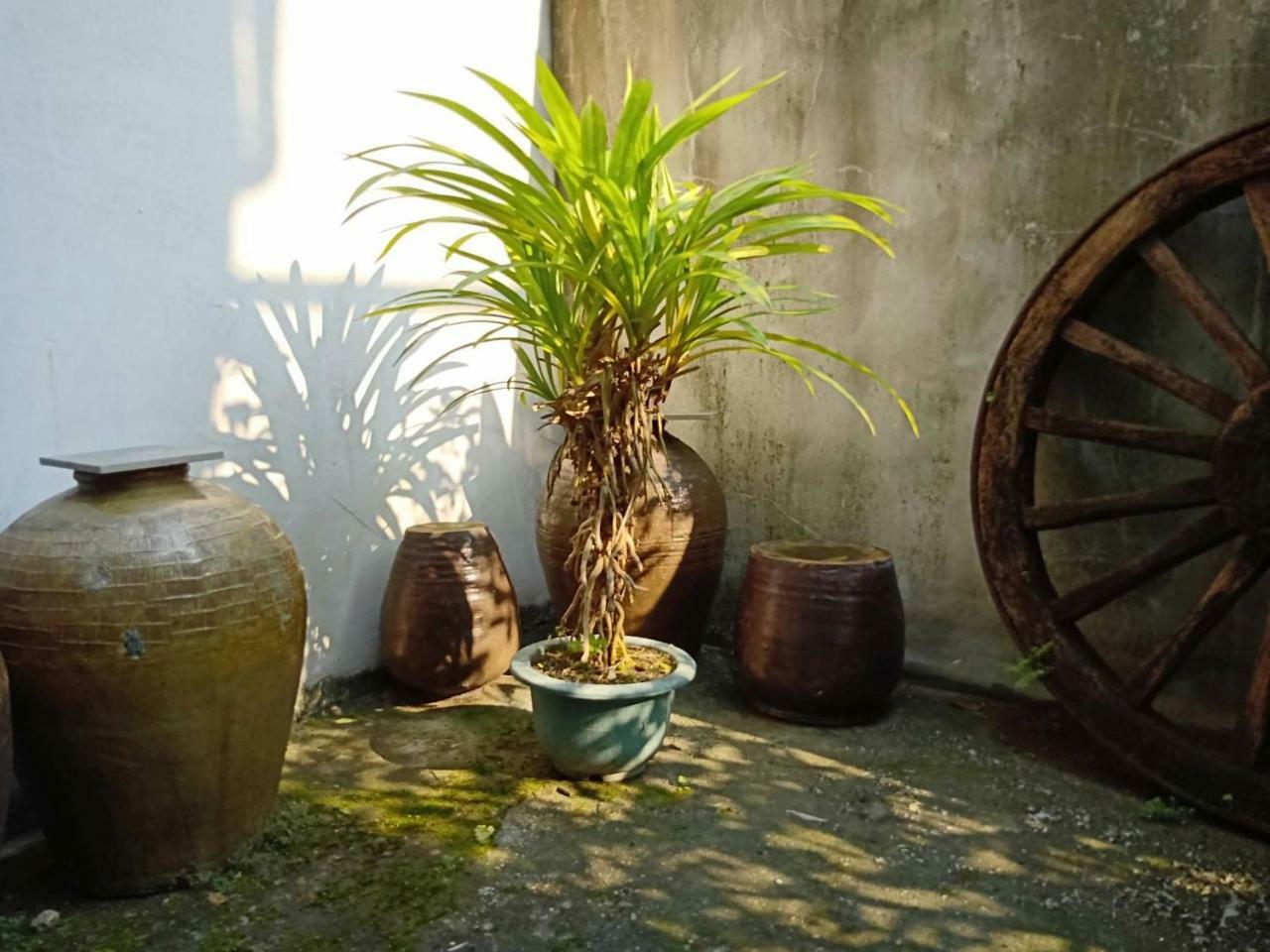 Formosa Backpackers Hostel & Apartment（青年民宿） Città di Hualien Esterno foto